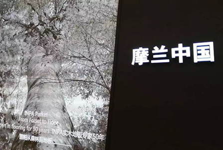 展會直擊—摩蘭在DOMOTEX E1F27!！